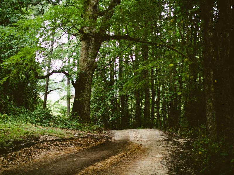 sudoku variants screenshot 2